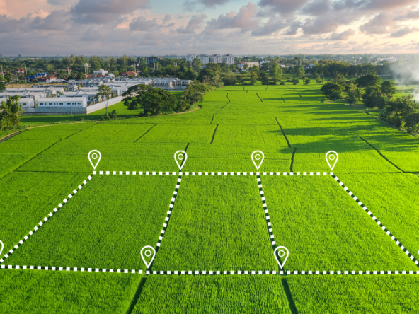 Residential/Commercial Project in plots